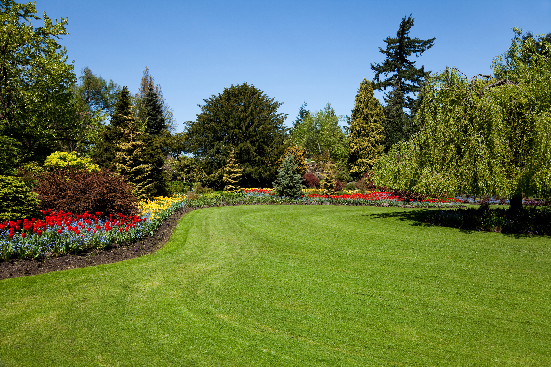 Landscape image placeholder for service detail two